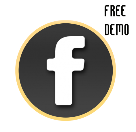 A DEEP DIVE INTO FACEBOOK ADS WITH GIPNETIX - DEMO