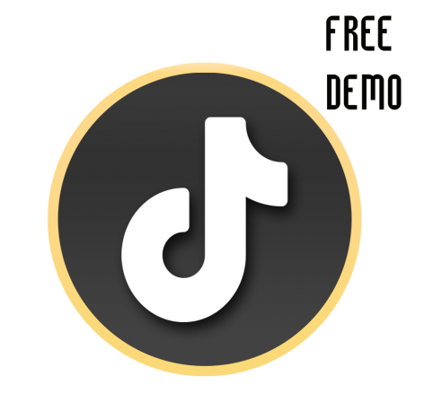 HOW TO GET FAMOUS ON TIKTOK? - DEMO